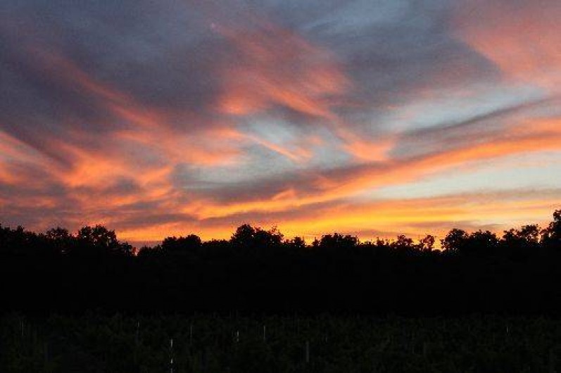 Location de vacances - Villa à Bédoin