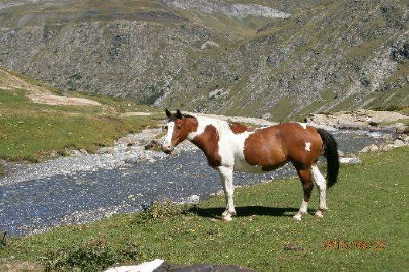 Location de vacances - Appartement à Gavarnie