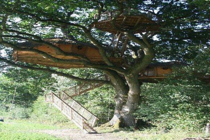 Location de vacances - Cabane dans les arbres à Moulicent