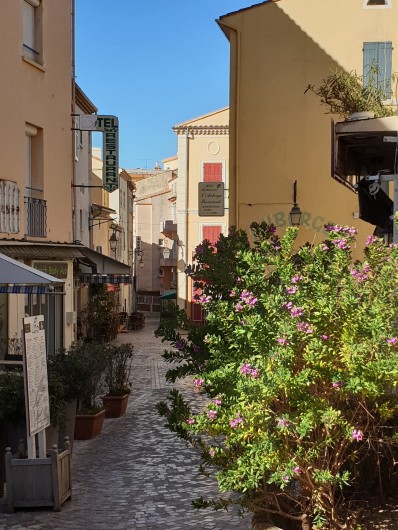 Location de vacances - Studio à Le Lavandou - Rue et restaurants dans la vieille ville