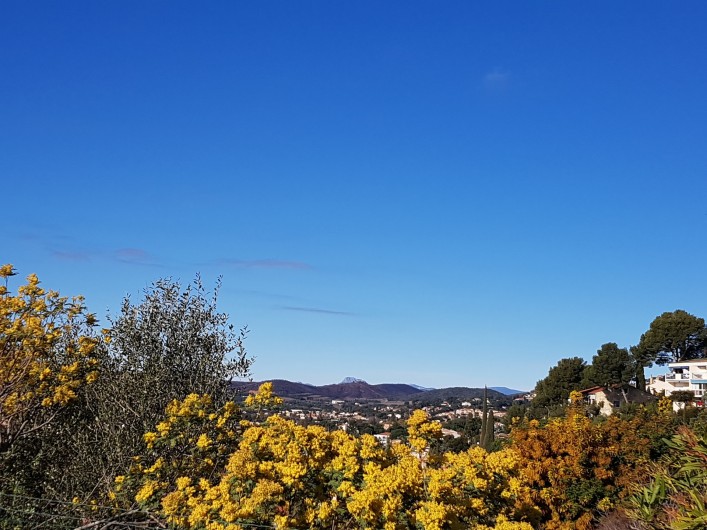 Location de vacances - Studio à Le Lavandou - Vue vers l'ouest, mimosas