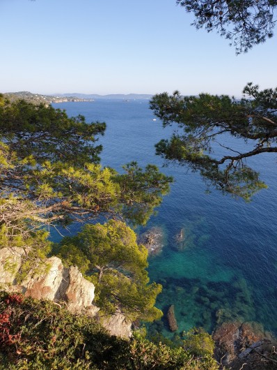 Location de vacances - Studio à Le Lavandou - Presqu'île de Giens