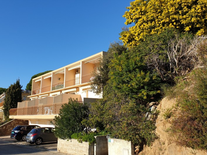 Location de vacances - Studio à Le Lavandou - Mimosas de janvier à mars