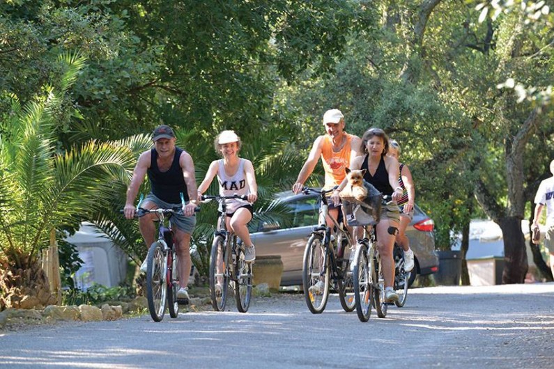 Location de vacances - Camping à Laroque-des-Albères - Services : location de vélos
