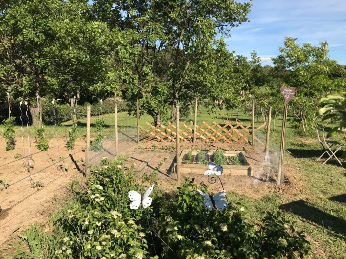 Location de vacances - Gîte à Rognes - Notre potager Bio !