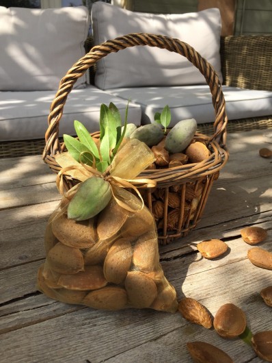 Location de vacances - Gîte à Rognes - Les bonnes amandes du verger !