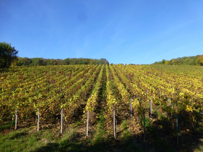 Location de vacances - Gîte à Essômes-sur-Marne