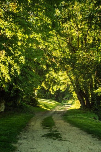 Location de vacances - Gîte à Essômes-sur-Marne