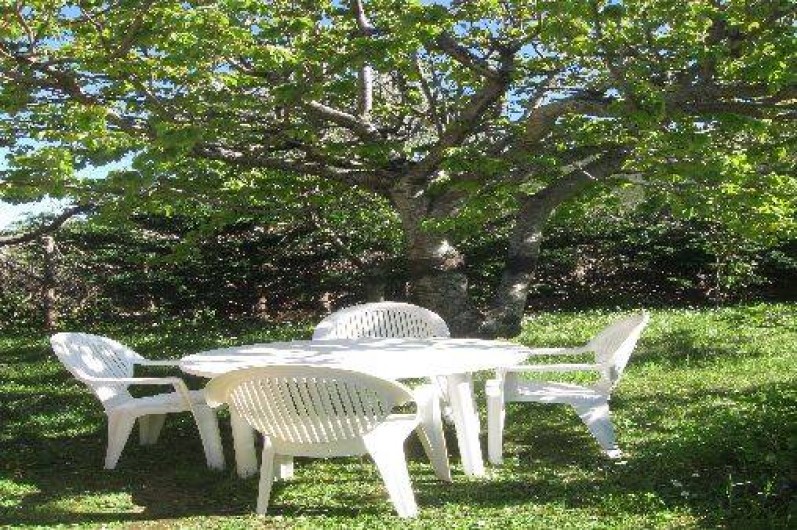 Location de vacances - Studio à Sisco