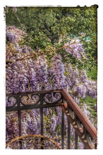 Location de vacances - Chambre d'hôtes à Chadeleuf
