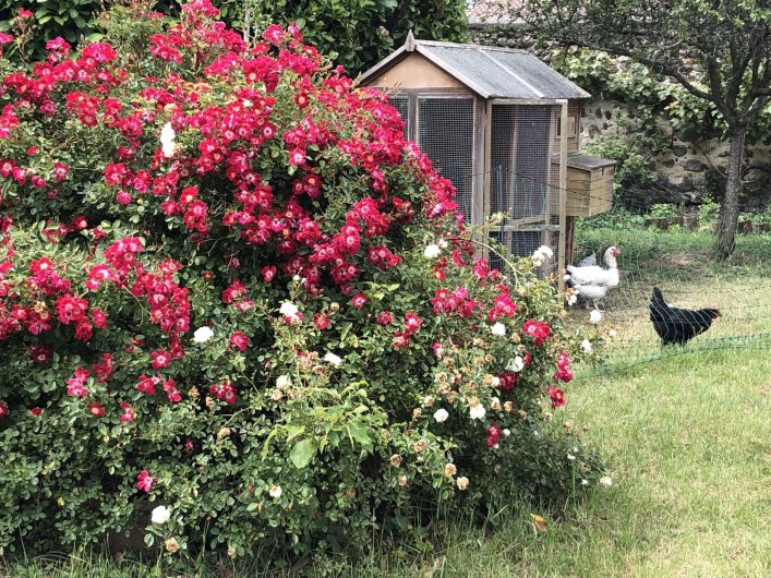 Location de vacances - Chambre d'hôtes à Chadeleuf