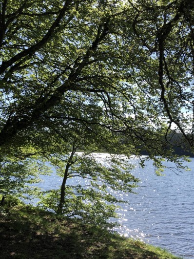 Location de vacances - Chambre d'hôtes à Chadeleuf