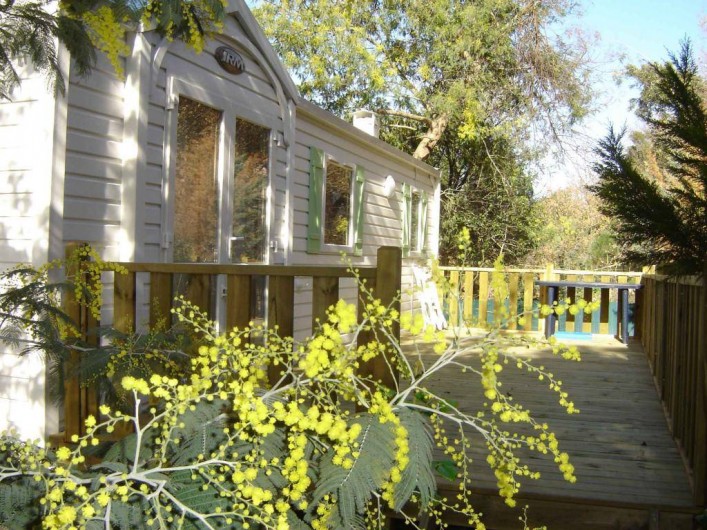Location de vacances - Camping à Sorède - Mobil-home les Mimosas 40 m² - climatisé - 3 chambres - terrasse 21 m²