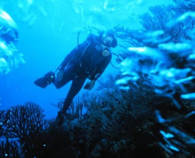 Location de vacances - Camping à Sorède - Plongée sous-marine