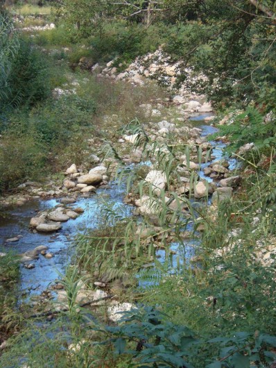 Location de vacances - Camping à Sorède - La rivière