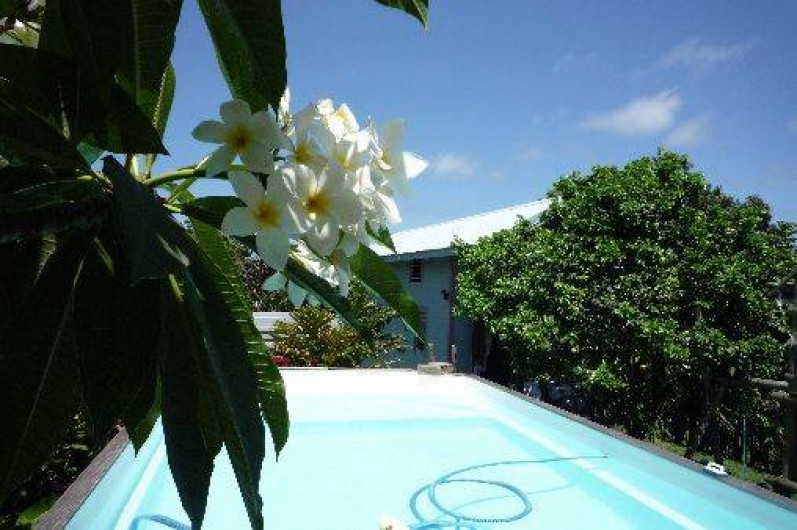 Location de vacances - Bungalow - Mobilhome à Petit Bourg