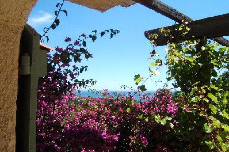 Location de vacances - Villa à Les Issambres