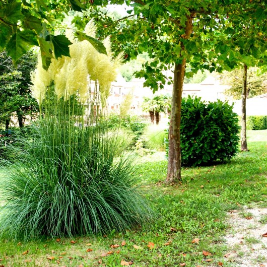 Location de vacances - Villa à Saint-Cernin de Reilhac