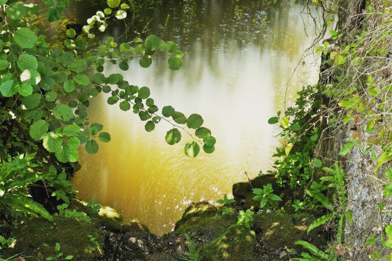 Location de vacances - Villa à Saint-Cernin de Reilhac