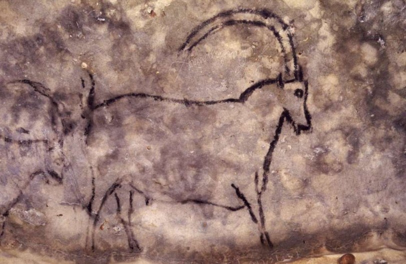 Location de vacances - Villa à Saint-Cernin de Reilhac