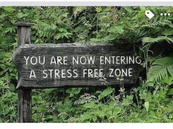 Location de vacances - Villa à Saint-Cernin de Reilhac