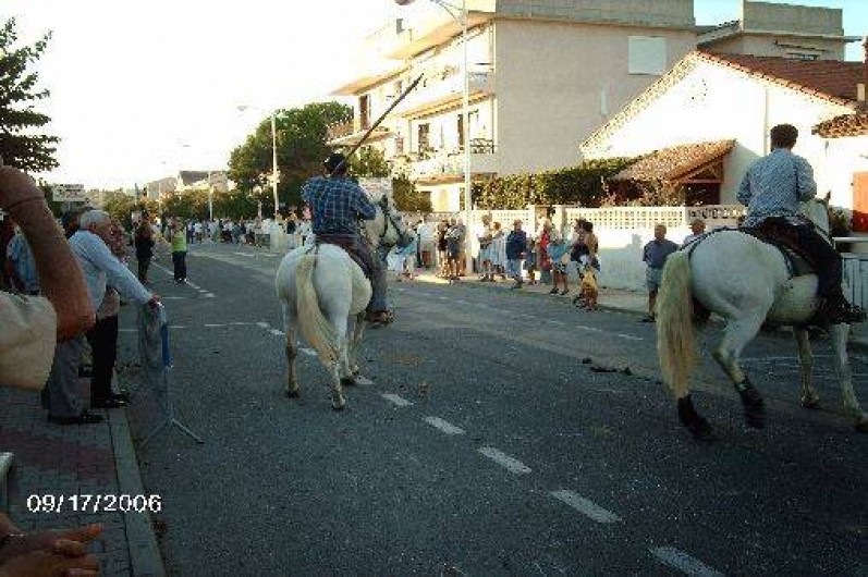Location de vacances - Studio à Le Grau-du-Roi