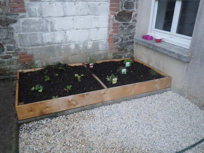 Location de vacances - Appartement à Saint-Pair-sur-Mer - carré potager