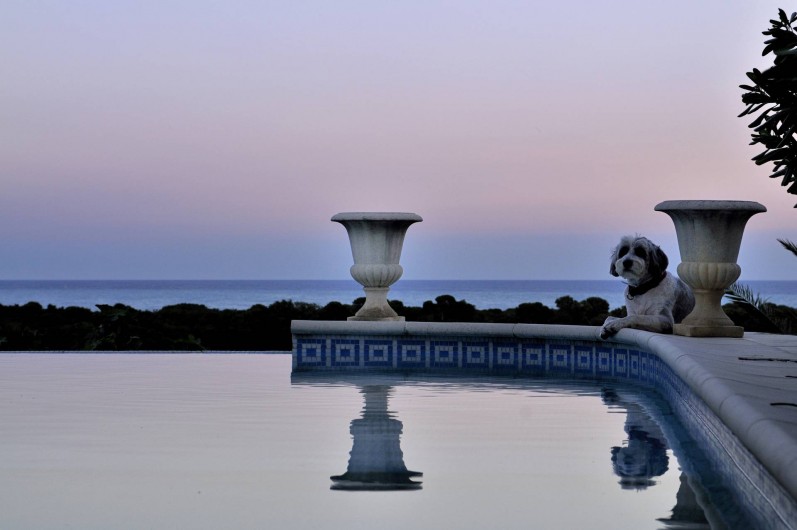 Location de vacances - Maison - Villa à Biot