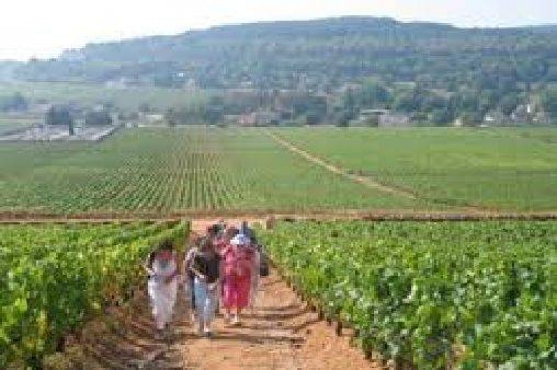 Location de vacances - Gîte à Autun - gite situé entre les vignobles du Beaunois et du Couchois
