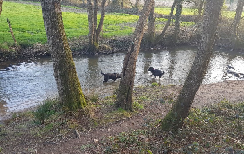 Location de vacances - Gîte à Bourguenolles - Nos forêts