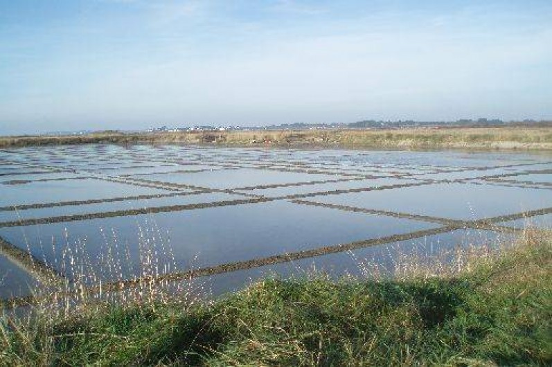 Location de vacances - Maison - Villa à Mesquer