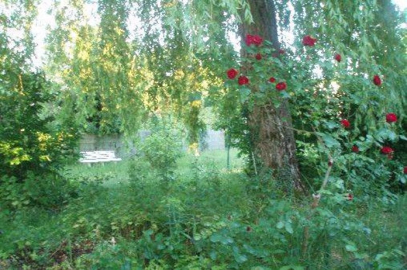 Location de vacances - Maison - Villa à Mesquer