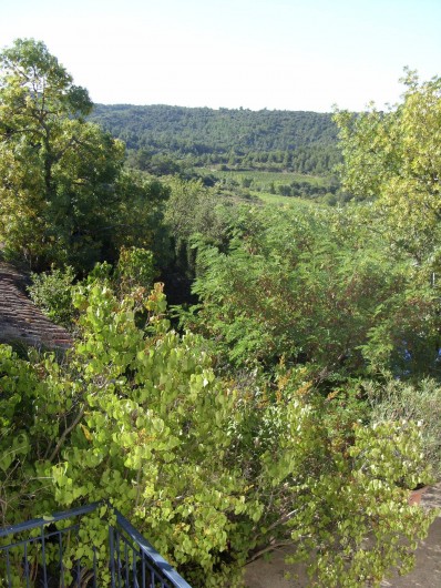 Location de vacances - Gîte à Bize-Minervois - vue d'une fenêtre  sur la campagne 
