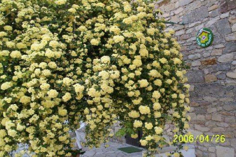 Location de vacances - Gîte à Saint-Séries