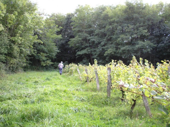 Location de vacances - Chambre d'hôtes à Beaufort