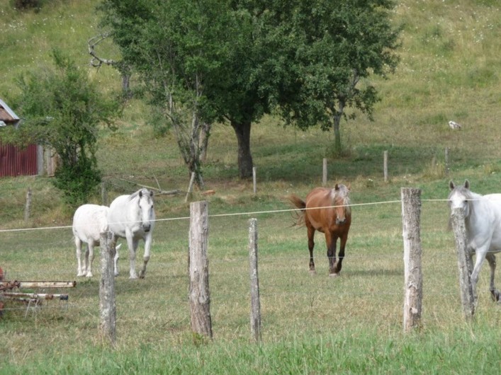 Location de vacances - Chambre d'hôtes à Beaufort