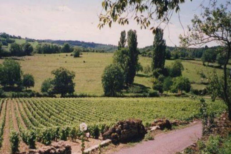 Location de vacances - Maison - Villa à Nolay