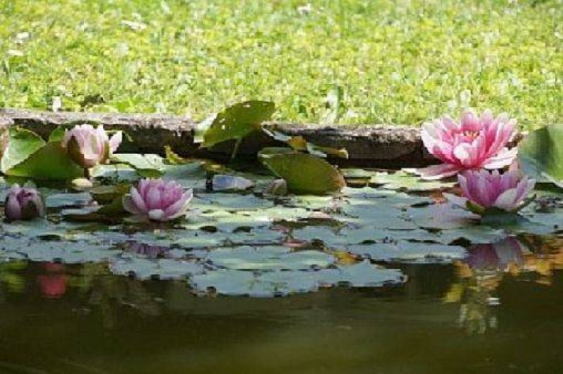 Location de vacances - Gîte à Branne