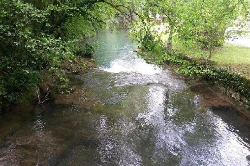 Location de vacances - Gîte à Lamotte-Beuvron