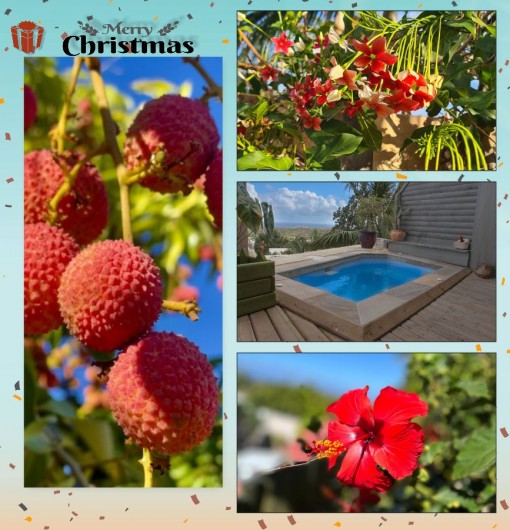 Location de vacances - Bungalow - Mobilhome à L'Étang-Salé - VETIBUNGA PERIODE DE NOËL