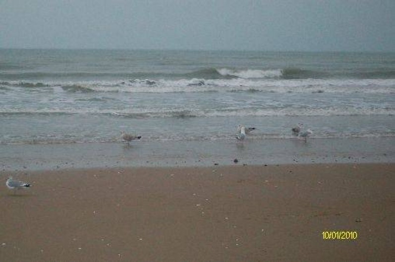 Location de vacances - Appartement à Cabourg