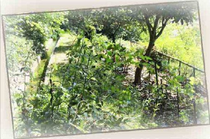 Location de vacances - Maison - Villa à Le Val