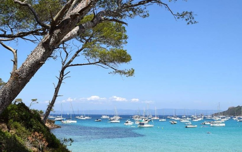 Location de vacances - Appartement à Hyères