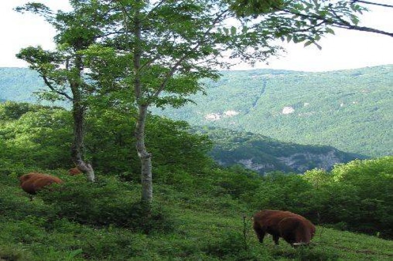 Location de vacances - Gîte à Hostiaz