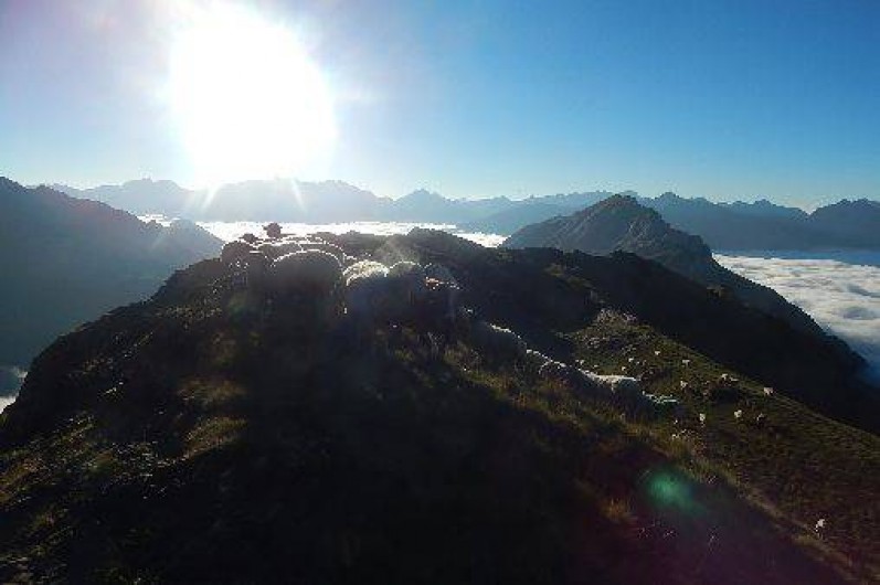 Location de vacances - Chambre d'hôtes à Gavarnie