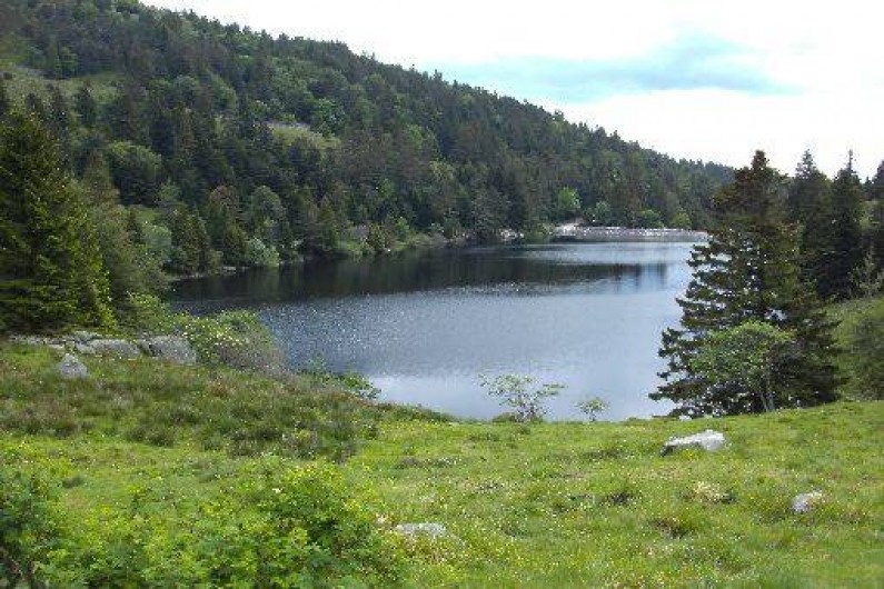Location de vacances - Gîte à Orbey