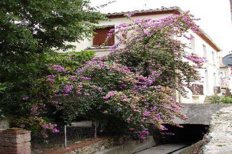 Location de vacances - Appartement à Laroque-des-Albères