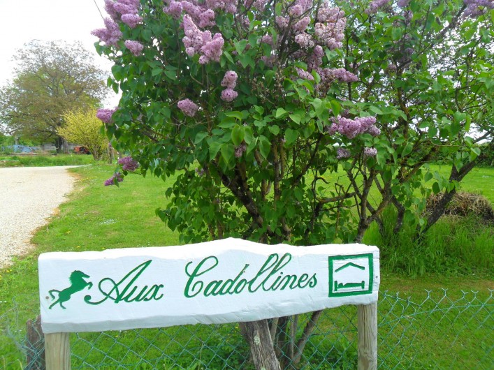 Location de vacances - Gîte à Romenay