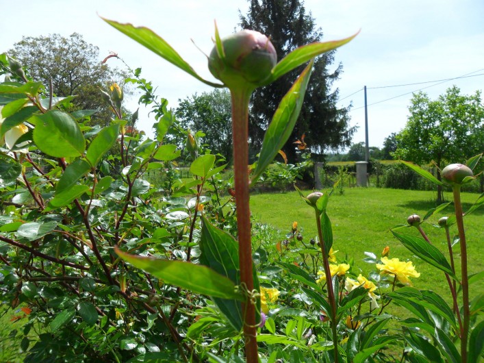 Location de vacances - Gîte à Romenay