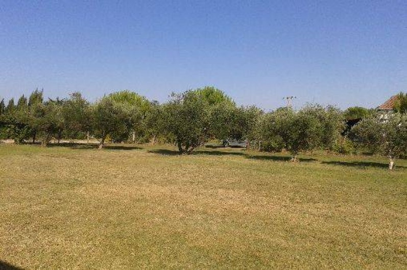 Location de vacances - Gîte à Aigues-Mortes